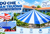 Dù Che Sân Trường: Kích Thước, Các Loại Dù, Giá Thuê & Cách Chọn 2026
