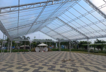 BÁN RẠP TRONG SUỐT